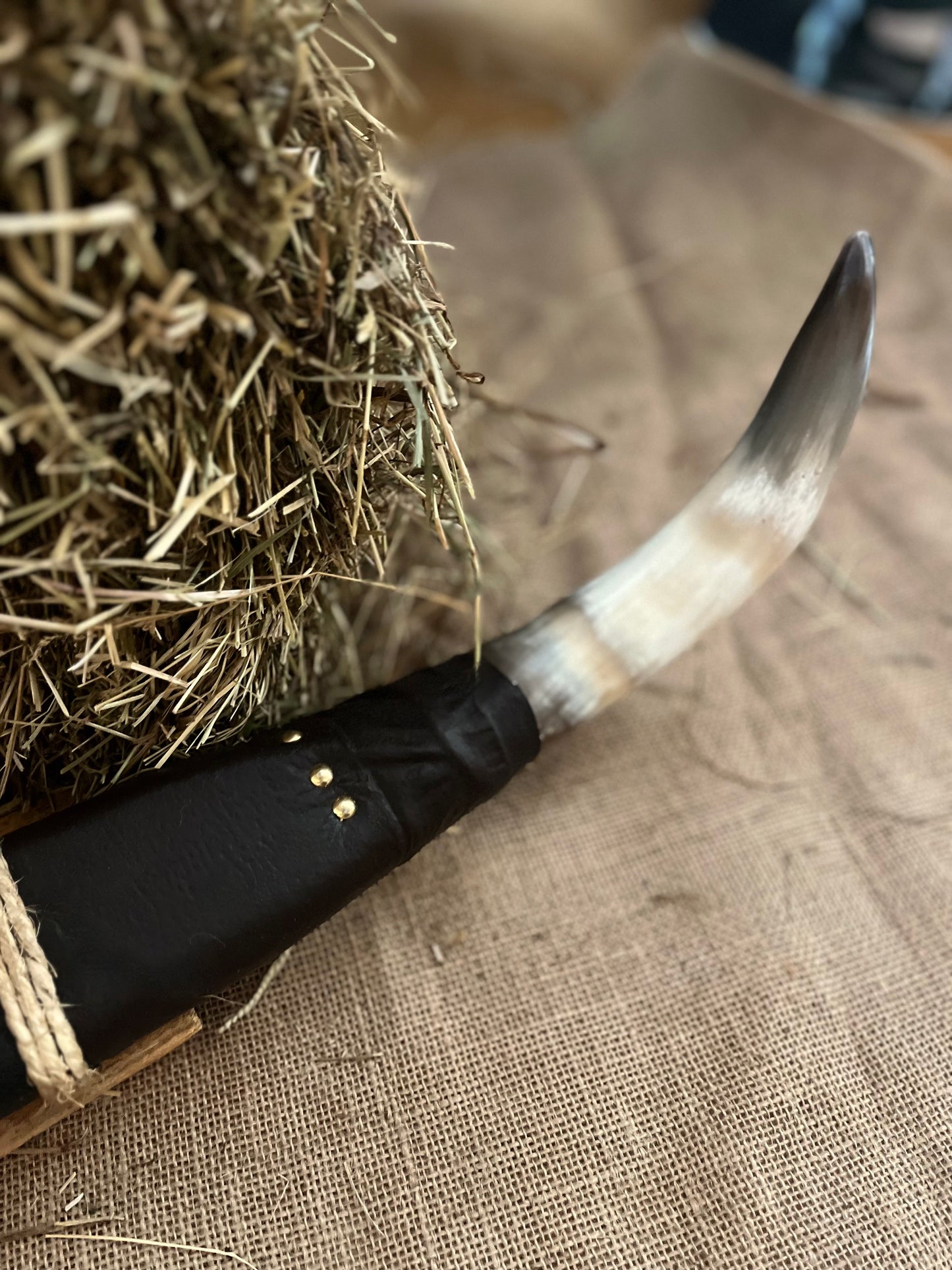 Authentic Bull Horns