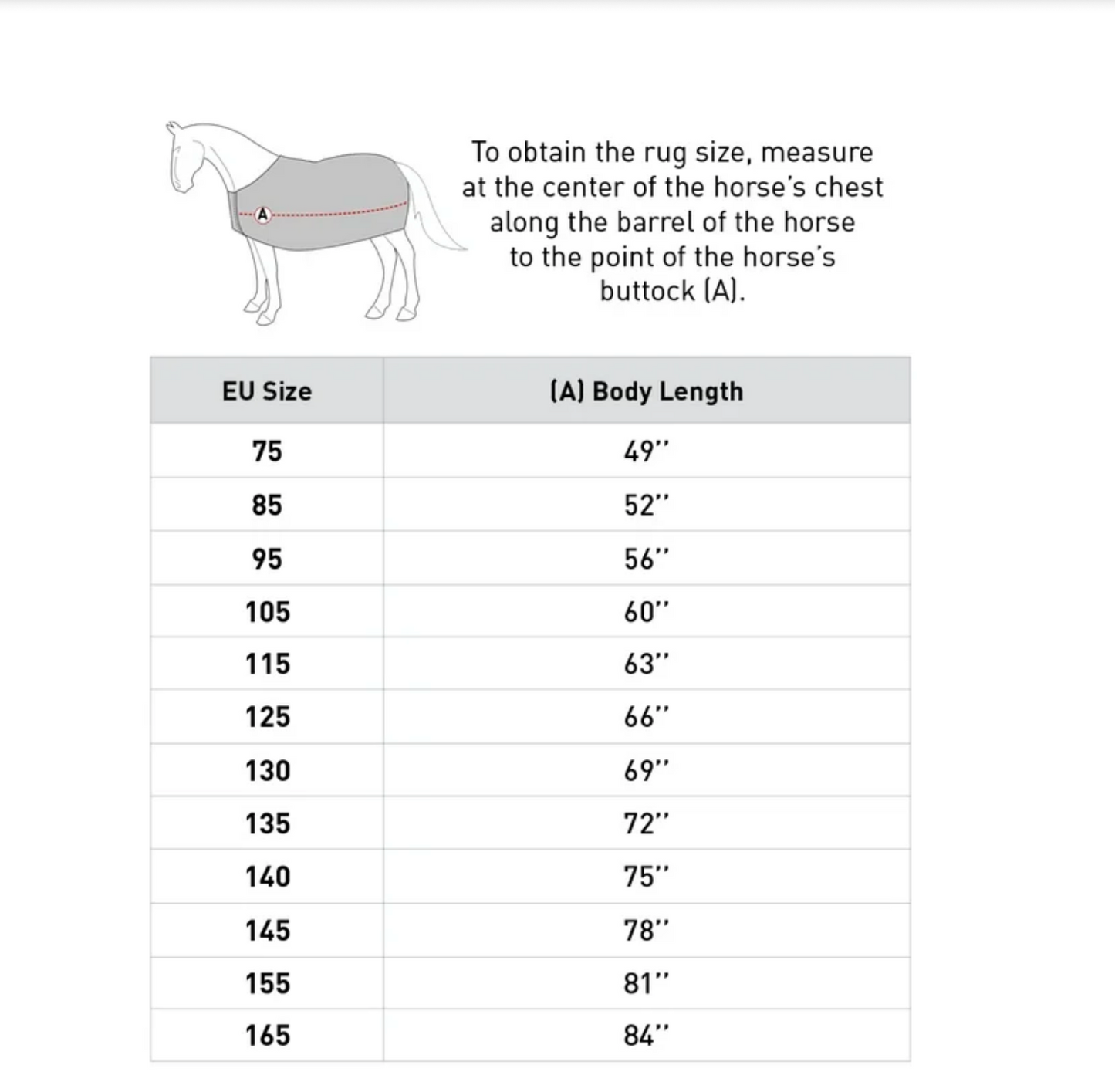 Rug HORZE MOLLY SUMMER SHEET