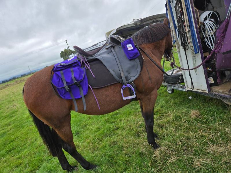 Large 3 Pocket Saddle Bag