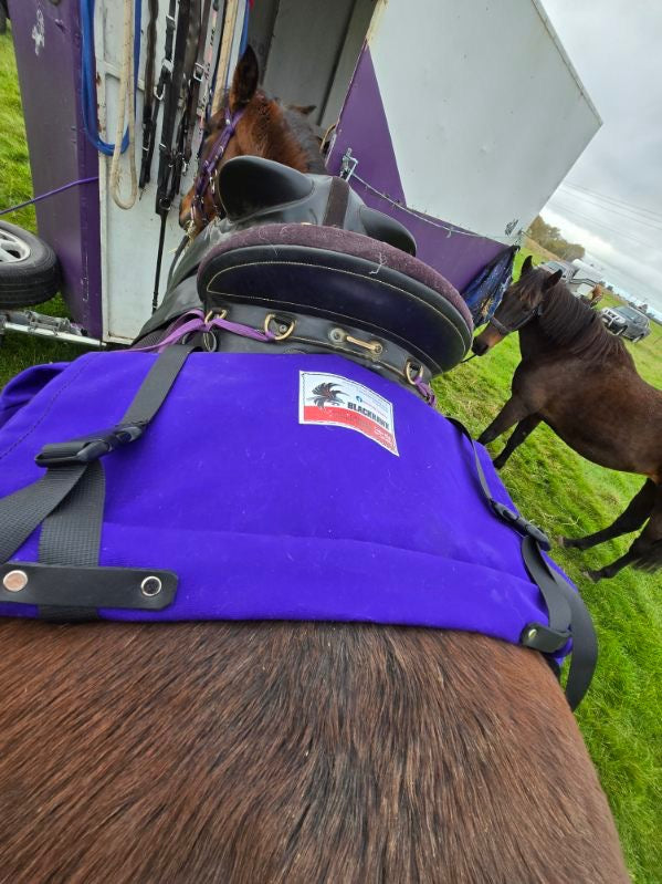Large 3 Pocket Saddle Bag