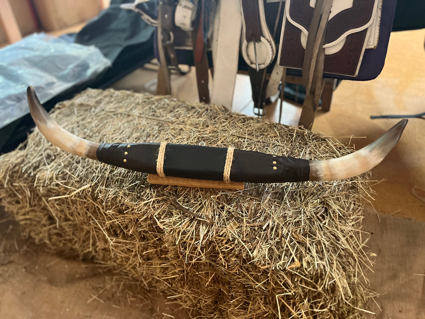 Authentic Bull Horns
